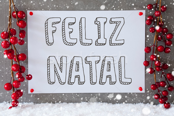 Label, Snowflakes, Decoration, Feliz Natal Means Merry Christmas Stock photo © Nelosa