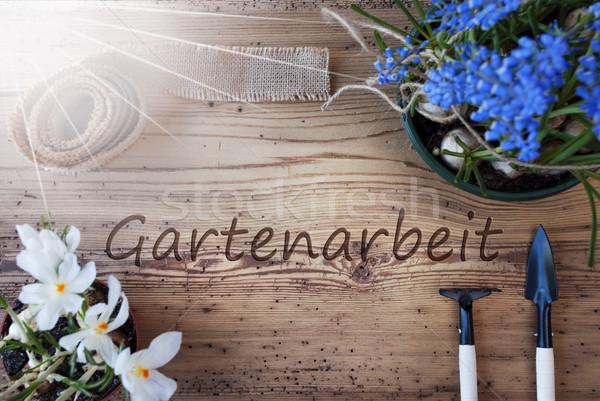 Sunny Spring Flowers, Gartenarbeit Means Gardening Stock photo © Nelosa