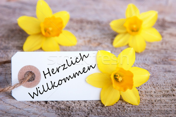 Label with Herzlich Willkommen Stock photo © Nelosa