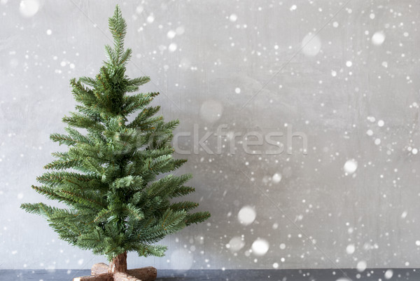 Kerstboom cement muur exemplaar ruimte sneeuwvlokken Stockfoto © Nelosa