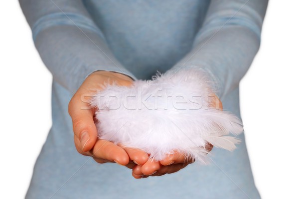 hands holding feathers Stock photo © Nelosa