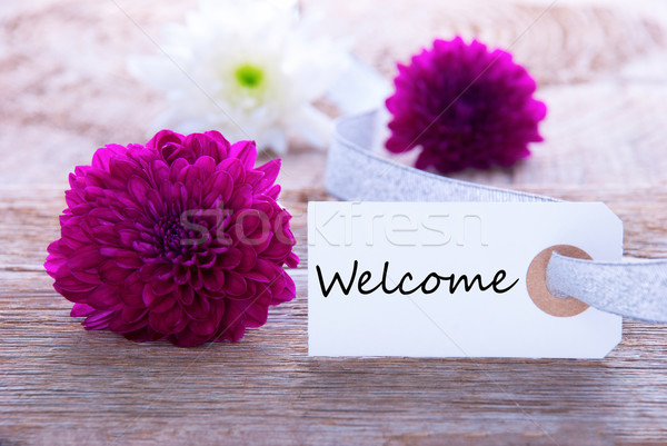 [[stock_photo]]: étiquette · Bienvenue · pourpre · fleurs · blanches · bois · réunion