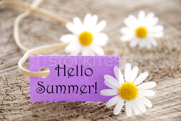 Purple Label With Hello Summer And Marguerite Blossoms Stock photo © Nelosa