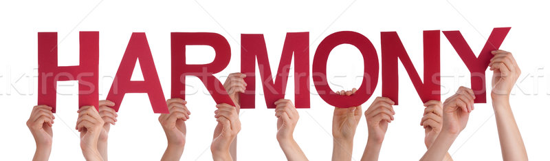 Many People Hands Hold Red Straight Word Harmony Stock photo © Nelosa