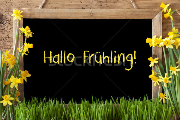 Flower Narcissus, Chalkboard, Hallo Fruehling Means Hello Spring Stock photo © Nelosa