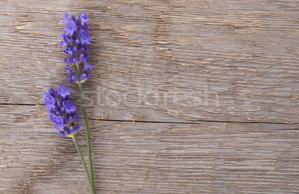 Lavanda madeira roxo cópia espaço natureza fundo Foto stock © Nelosa