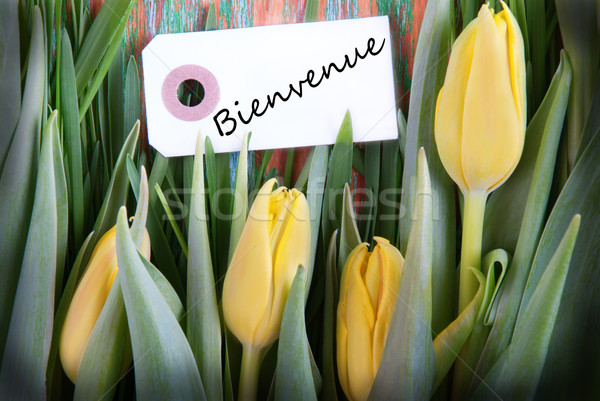 Tulip Background with Bienvenue Stock photo © Nelosa