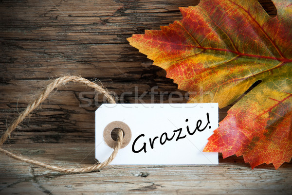 Fall Label with Grazie Stock photo © Nelosa