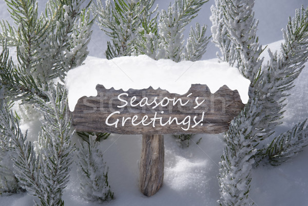 Christmas Sign Snow Fir Tree Branch Text Seasons Greetings Stock photo © Nelosa