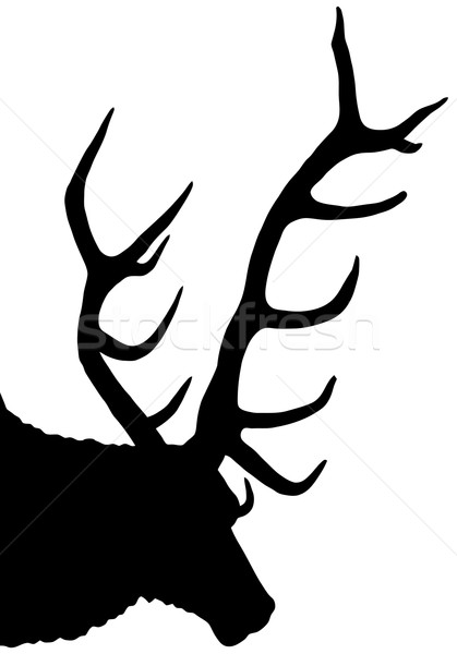 Silhouette fase testa corno illustrazione animale Foto d'archivio © nelsonart