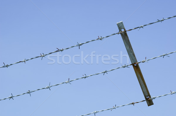 barbed wire Stock photo © nelsonart