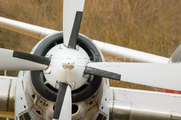 aircraft propeller Stock photo © nelsonart