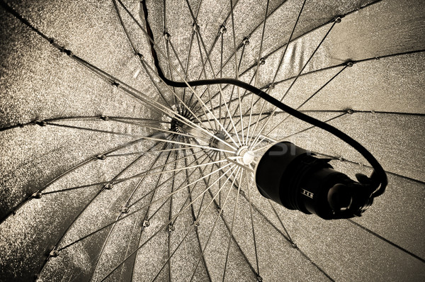 студию освещение строб зонтик свет Сток-фото © nelsonart