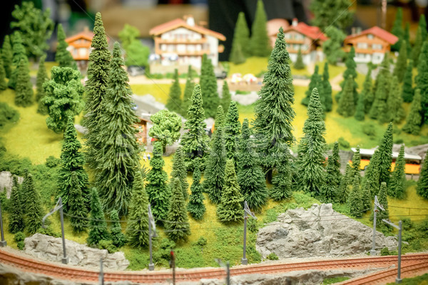 Alpin sat detaliat miniatura model feroviar Imagine de stoc © nelsonart