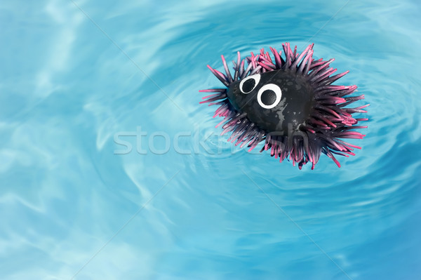 rubber sea urchin Stock photo © nelsonart