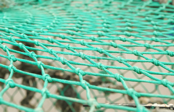 漁網 クローズアップ 釣り シーフード ストックフォト © nelsonart