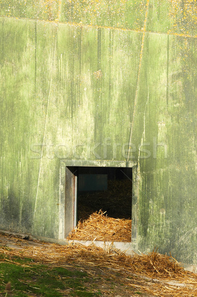 Animale vuota fauna selvatica parco muro buio Foto d'archivio © nelsonart