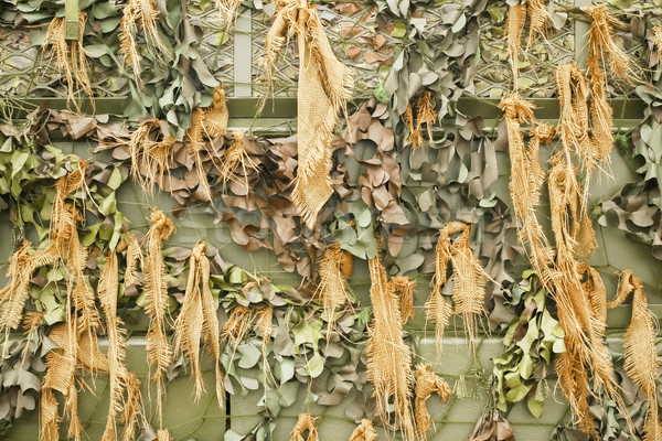 camouflage netting Stock photo © nelsonart