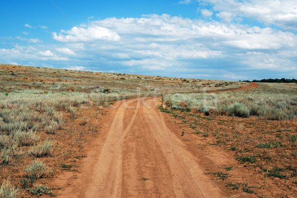 Rural road Stock photo © nemalo