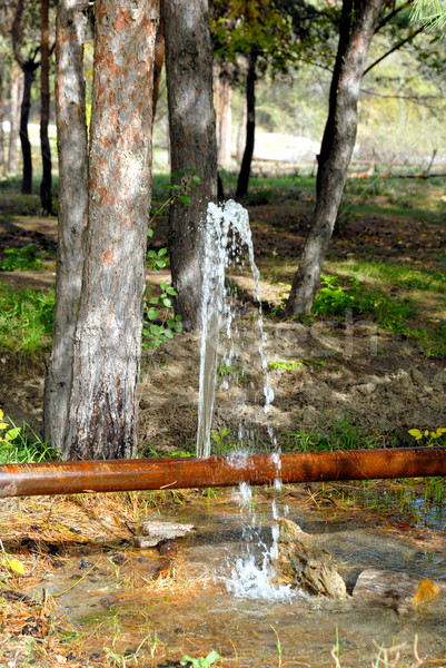 Leak of water from a crack in a pipe Stock photo © nemalo