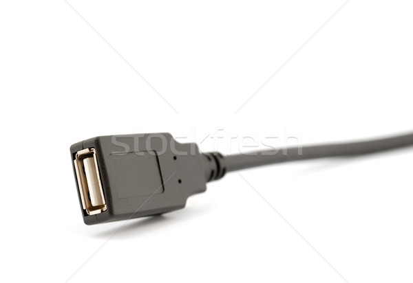 USB connectors, cable. Stock photo © nemalo