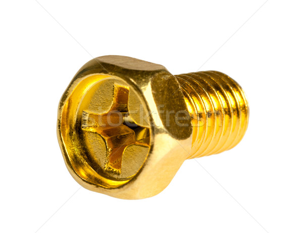 Gold screw Stock photo © nemalo