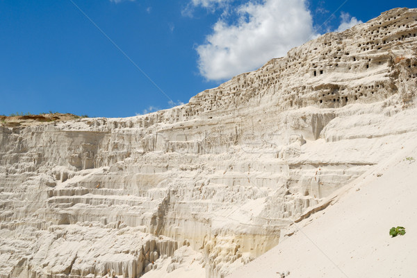 Sandy mountain with the bird's nests Stock photo © nemalo