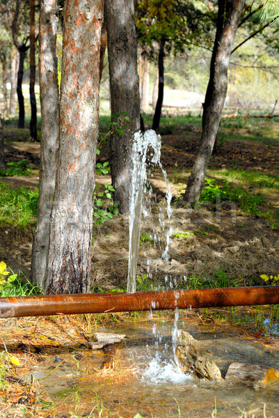 Szivárgás víz törés cső öreg rozsdás Stock fotó © nemalo