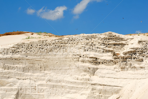 Sandy mountain with the bird's nests Stock photo © nemalo