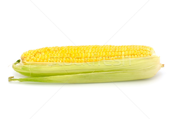 Corn on the cob Stock photo © nemalo