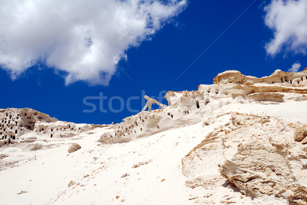 Sculptures from sand Stock photo © nemalo