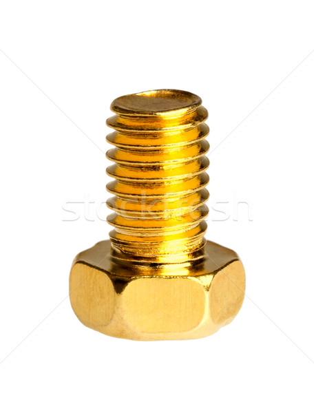 Gold screw Stock photo © nemalo
