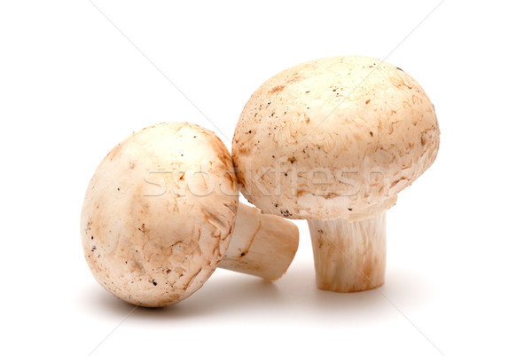 Dwa grzyby pieczarka świetle żywności charakter Zdjęcia stock © nemalo