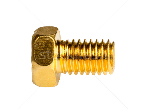 Gold screw Stock photo © nemalo