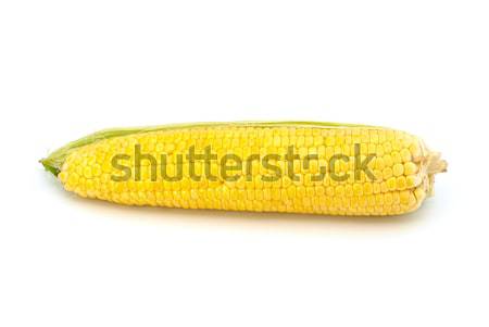 Corn on the cob Stock photo © nemalo