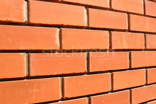 Brick wall Stock photo © nemalo