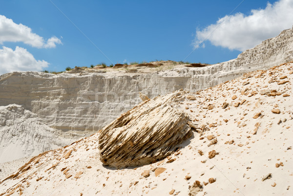 Sculptures from sand Stock photo © nemalo