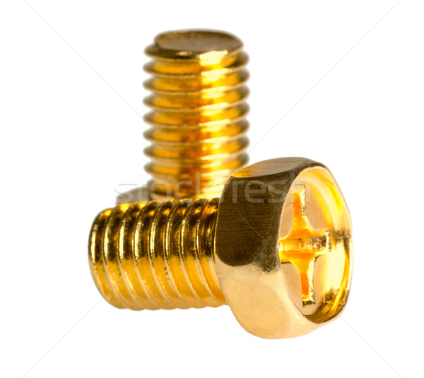 Two gold screw Stock photo © nemalo