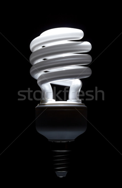 Energy saving compact fluorescent lightbulb Stock photo © nemalo