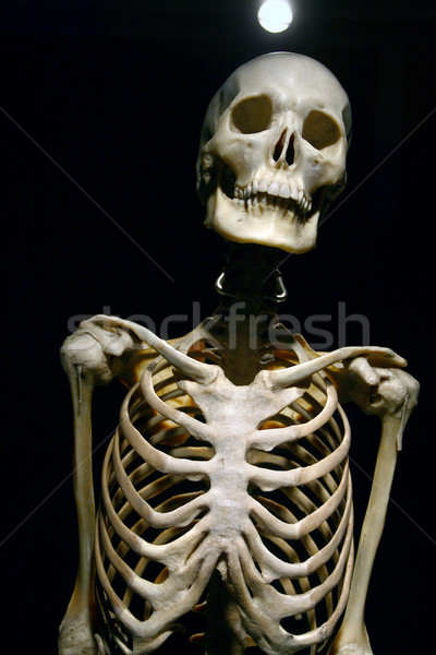 Insan anatomisi gerçek iskelet siyah spor model Stok fotoğraf © nemar974