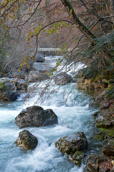 Autumn river in Ordesa National Park, Pyrenees, Huesca, Aragon,  Stock photo © nenetus