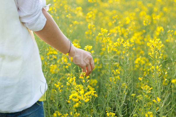 Beautiful young woman enjoying summer in a field. Stock photo © nenetus