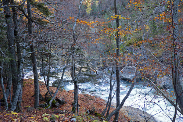 Autumn landscape in Ordesa National Park, Pyrenees, Huesca, Arag Stock photo © nenetus