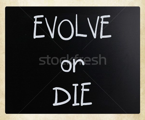 'Evolve or Die' handwritten with white chalk on a blackboard Stock photo © nenovbrothers