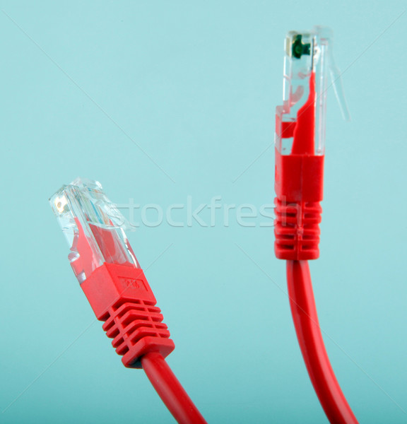 Ethernet hálózat kábelek számítógép internet telefon Stock fotó © nenovbrothers