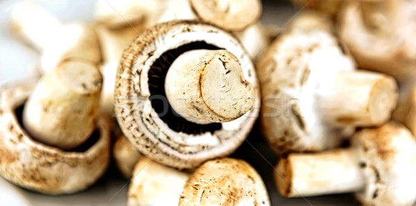 食用 キノコ 栽培 種 ドリンク 農業 ストックフォト © nenovbrothers