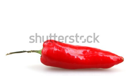 Red pepper Stock photo © nenovbrothers