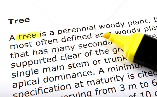 Text highlighted with felt tip pen Stock photo © nenovbrothers