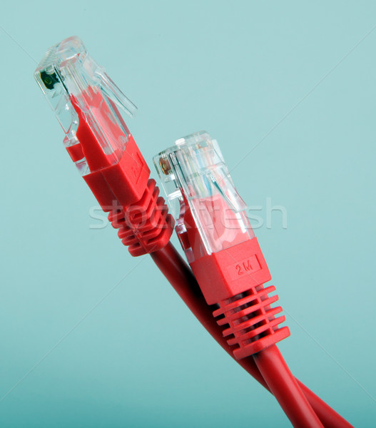 Ethernet hálózat kábelek számítógép internet telefon Stock fotó © nenovbrothers