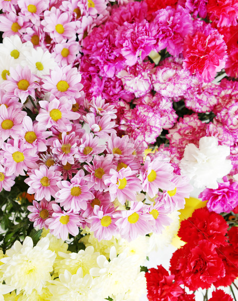 ストックフォト: 花 · 花 · 春 · 幸せ · 自然 · 光